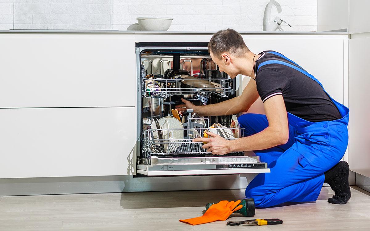 dishwasher repair WEEE